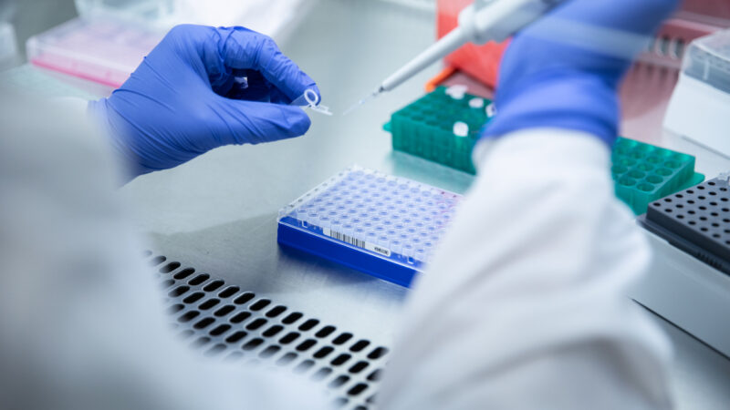 Clínica de Exame Toxicológico em Bangu