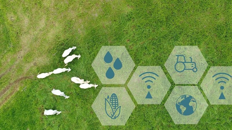 Centro de Ciência para o Desenvolvimento em Agricultura Digital abre vaga de pós-doutorado