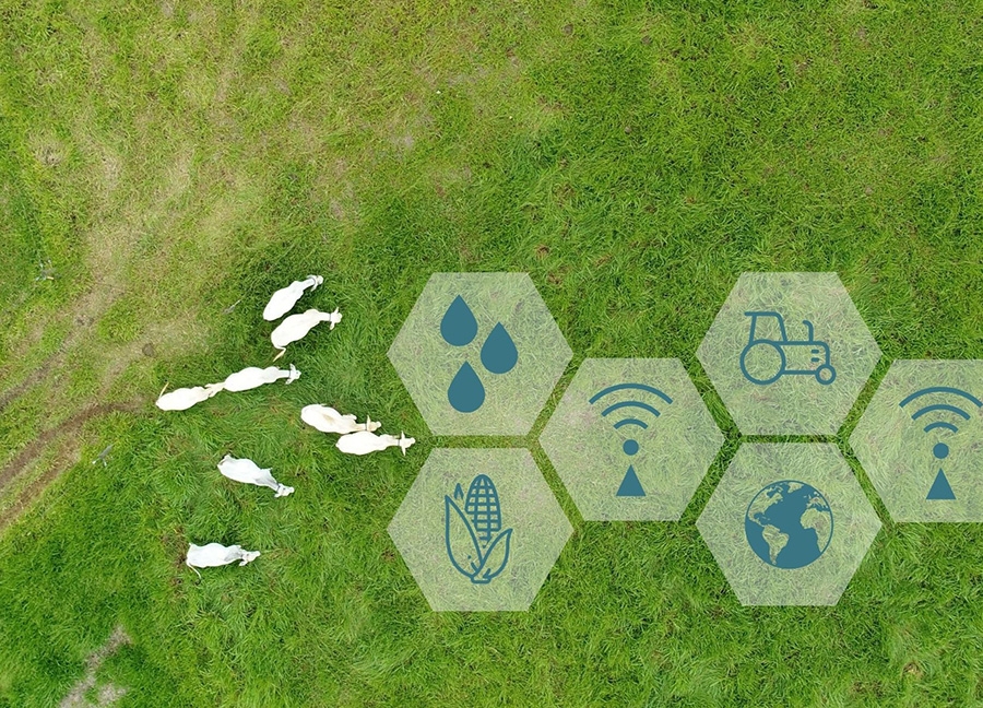 Centro de Ciência para o Desenvolvimento em Agricultura Digital abre vaga de pós-doutorado