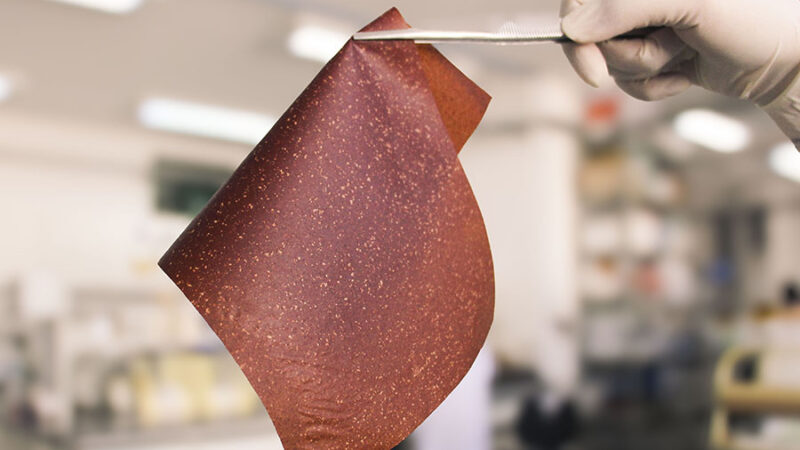 Cientistas transformam casca de banana em bioplástico para embalar alimentos