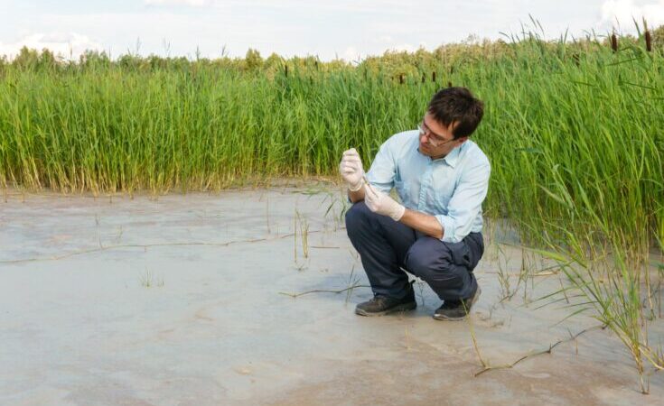 FAPESP e agência britânica vão apoiar projetos em ciências ambientais