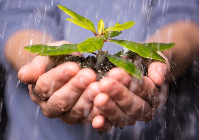 Inscrições abertas para o Prêmio Firjan de Sustentabilidade 2024