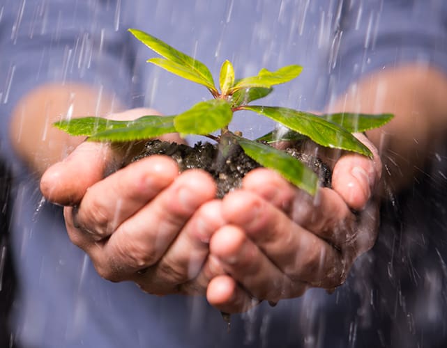 Inscrições abertas para o Prêmio Firjan de Sustentabilidade 2024