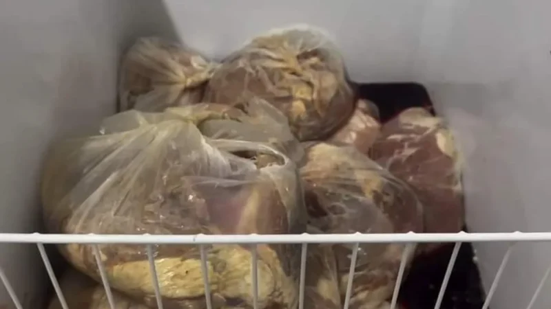 MAIS DE 100KG DE CARNE PODRE EM FREEZERES DE HOSPITAL MATERNIDADE NO RIO