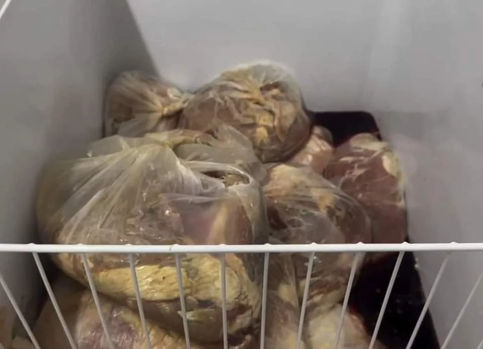 MAIS DE 100KG DE CARNE PODRE EM FREEZERES DE HOSPITAL MATERNIDADE NO RIO