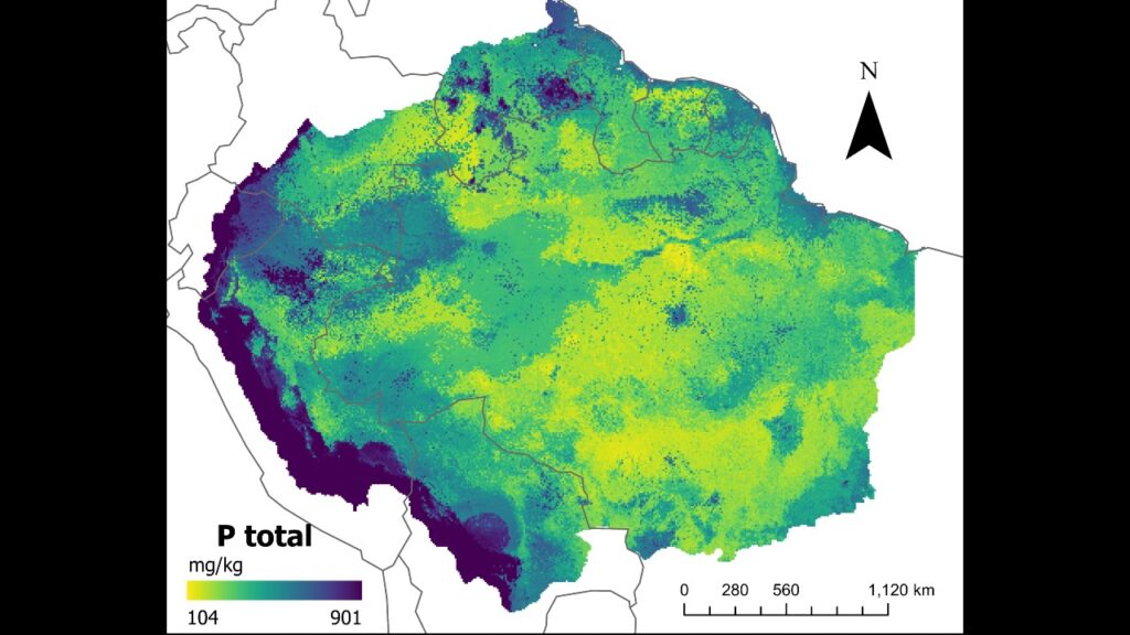 Mapas desenvolvidos com inteligência artificial confirmam baixos níveis de fósforo no solo da Amazônia