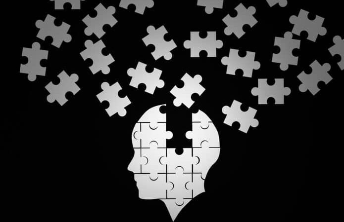 O estudo de macacos-prego pode ajudar no combate ao Alzheimer