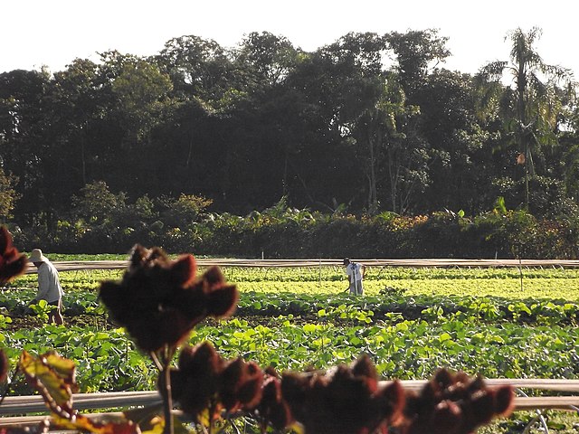 Pós-doutorado em extensão rural na Unicamp