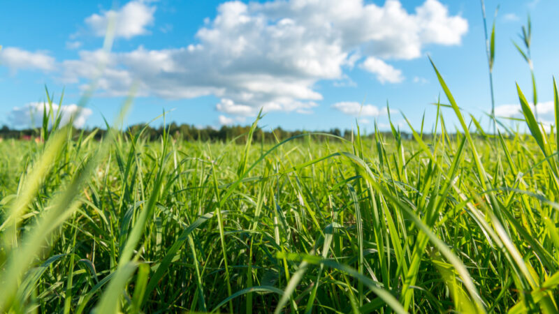 Pós-doutorado em mudanças climáticas na Unesp de Jaboticabal