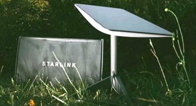 Sâmia quer a Starlink fora do Brasil e o motivo é indecente