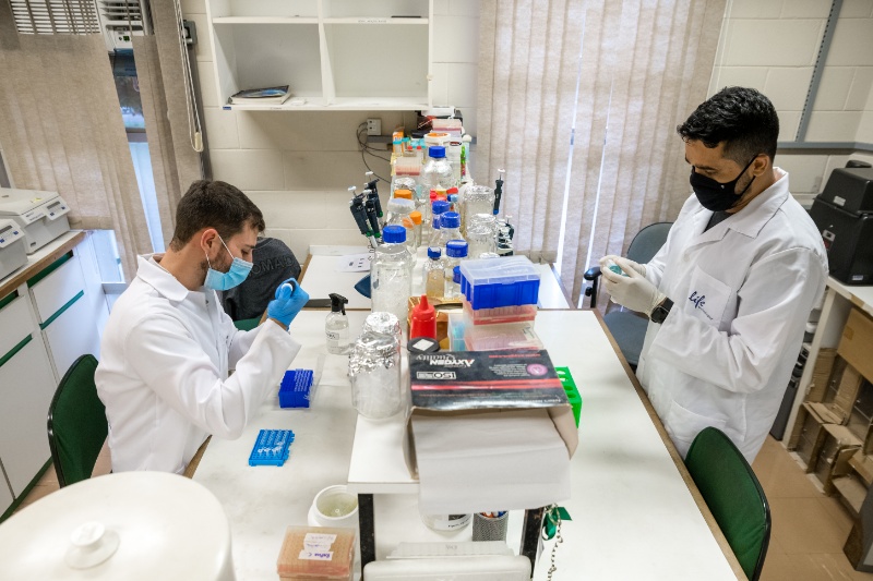 Treinamento técnico em descoberta de fármacos na Unicamp