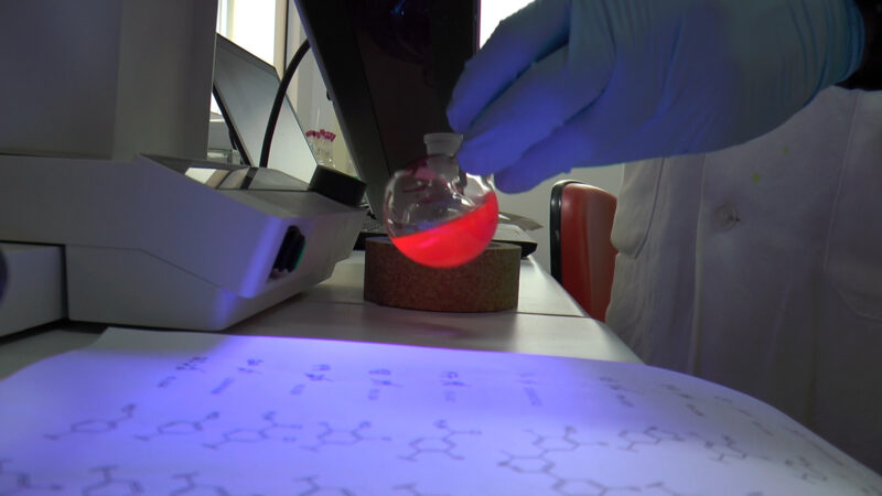 Brasileiros defendem investimentos públicos em ciência, aponta pesquisa