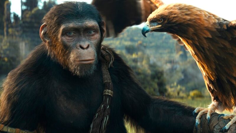 Os 6 principais lançamentos e filmes e séries da semana! Veja lista