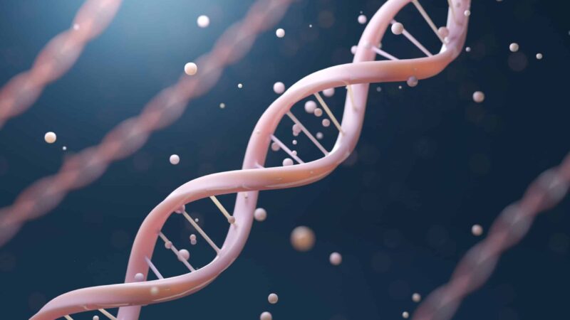 Autismo pode estar ligado a DNA herdado dos neandertais