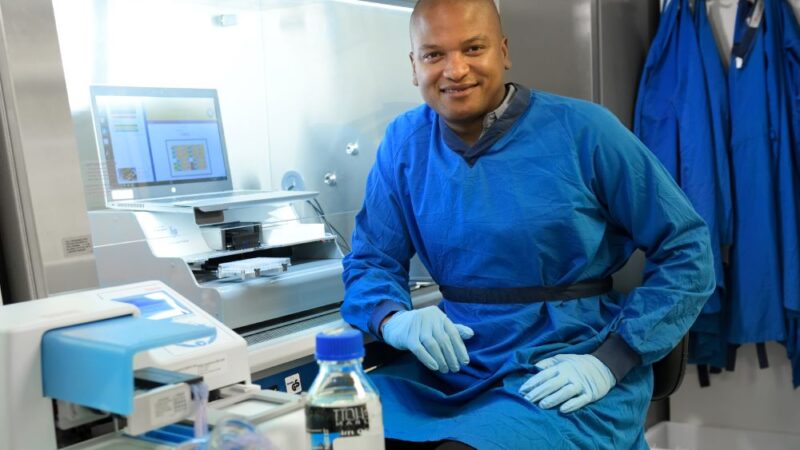 Combinação de drogas tem ação promissora contra tumores e será alvo de estudo clínico