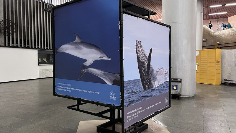 Exposição da Uerj leva diversidade ambiental, ciência e arte para o MetrôRio