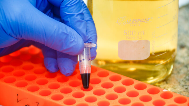 Instituto de Química da USP abre concurso para professor doutor