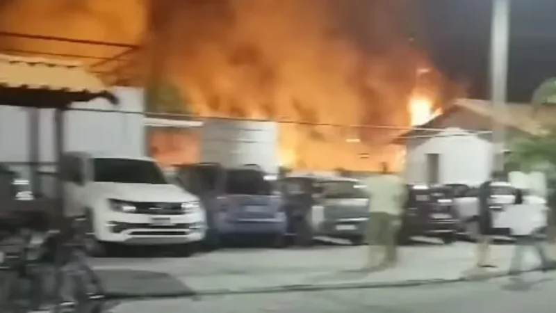 ( Video) Incêndio criminoso em Campo Grande deixa moradores em pânico!!