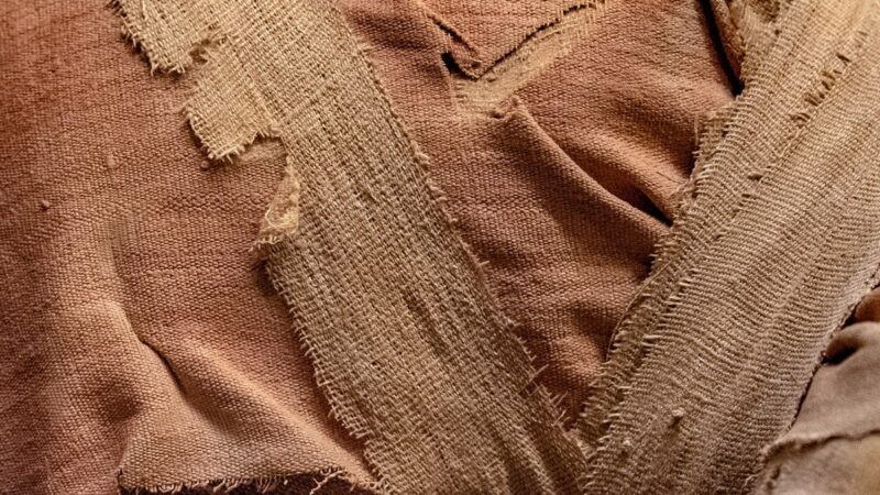 Múmias egípcias: bactérias e vírus ancestrais são ameaça ao mundo moderno?