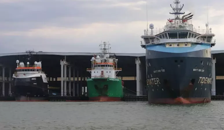 Porto do Açu se conecta com o agro e inaugura galpões para soja e milho