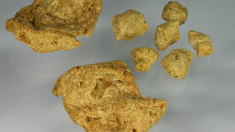 Veganos consomem teor adequado de proteínas e aminoácidos essenciais, mas dependem de ultraprocessados