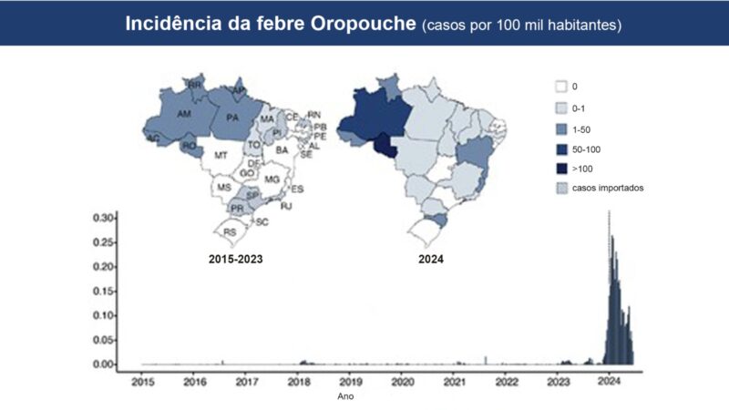 Casos da febre do oropouche aumentaram quase 200 vezes neste ano comparados à última década