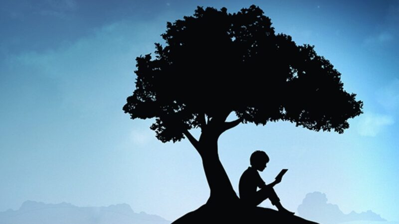 Por que não é possível comprar ebooks no app do Kindle no Android e iOS?