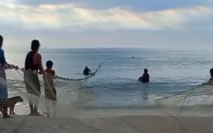 Turismo ilegal na Reserva Extrativista de Arraial afeta pescadores tradicionais