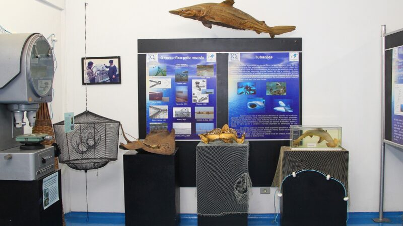 USP oferece curso de difusão na área de oceanografia