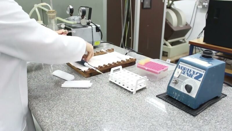 Centro de Pesquisa de Processos Redox em Biomedicina abre vaga de pós-doutorado