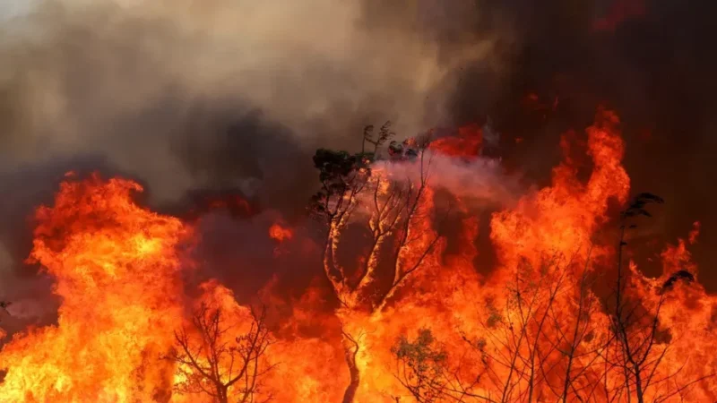 Polícia Civil prende autores de incêndios criminosos no RJ