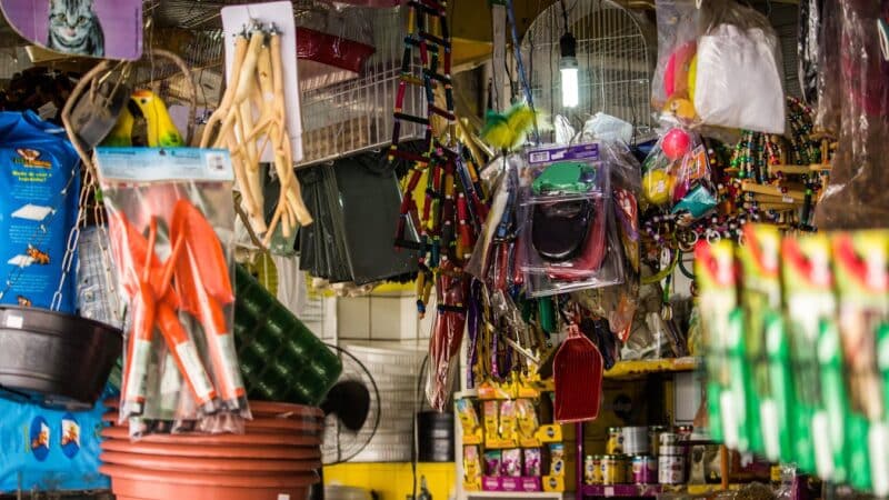 SEO Local para Pet Shops: Como ser Referência no Google na sua Cidade