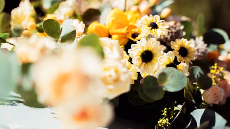 Como vender flores e cestas pelo Google: Como Dominar as Datas Comemorativas